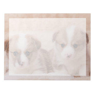 Cutest Baby djur Två Corgi-valpar Anteckningsblock