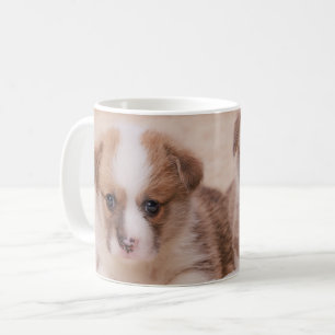 Cutest Baby djur   Två Corgi-valpar Kaffemugg