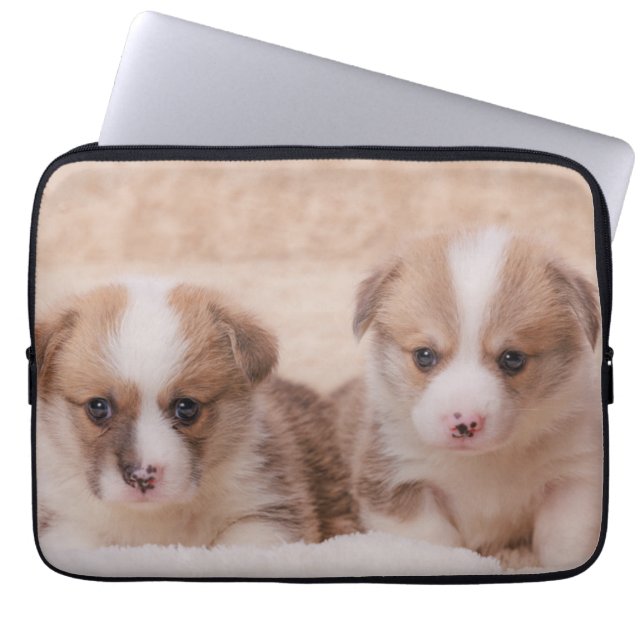 Cutest Baby djur | Två Corgi-valpar Laptop Fodral (Framsidan)