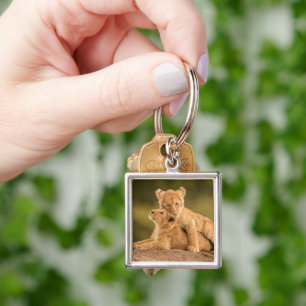 Cutest Baby djur Två Lejona Ungar Fyrkantig Silverfärgad Nyckelring