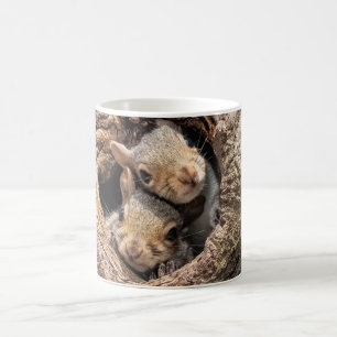 Cutest Baby djur Två unga ekorrar Kaffemugg