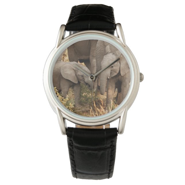 Cutest Baby djur | Två unga elefanter Armbandsur (Framsida)