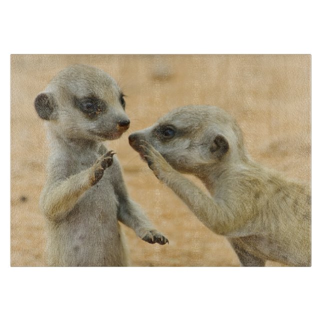 Cutest Baby djur | Två unga Meerkats (Framsidan)