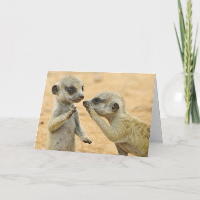 Cutest Baby djur | Två unga Meerkats Kort (Framsida)