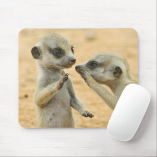 Cutest Baby djur Två unga Meerkats Musmatta
