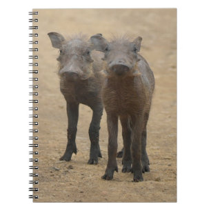 Cutest Baby djur Två unga Warthogs Anteckningsbok