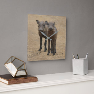 Cutest Baby djur Två unga Warthogs Fyrkantig Klocka