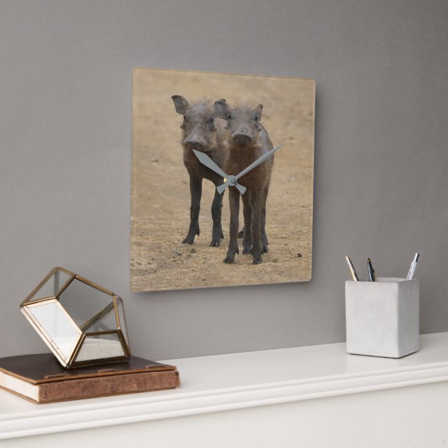Cutest Baby djur | Två unga Warthogs Fyrkantig Klocka (Kontor)
