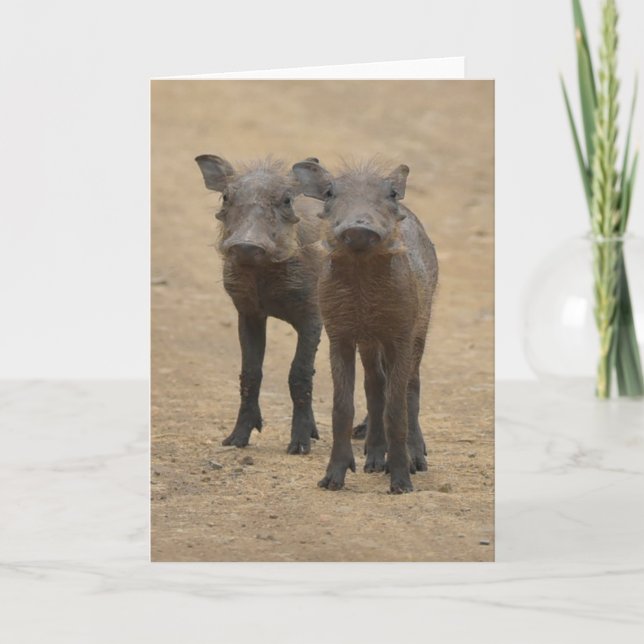 Cutest Baby djur | Två unga Warthogs Kort (Framsida)
