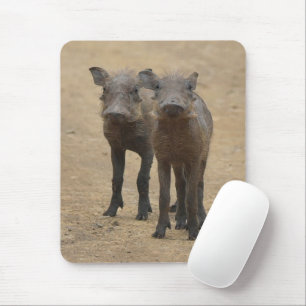 Cutest Baby djur Två unga Warthogs Musmatta