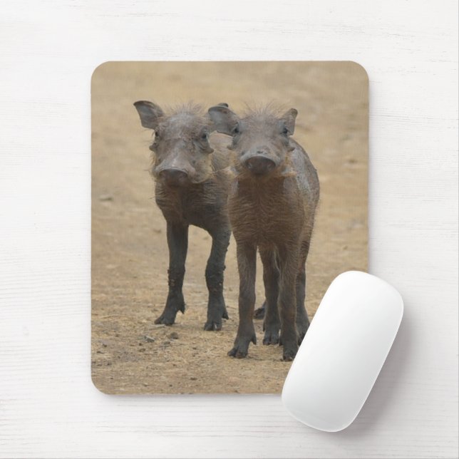 Cutest Baby djur | Två unga Warthogs Musmatta (Med mus)