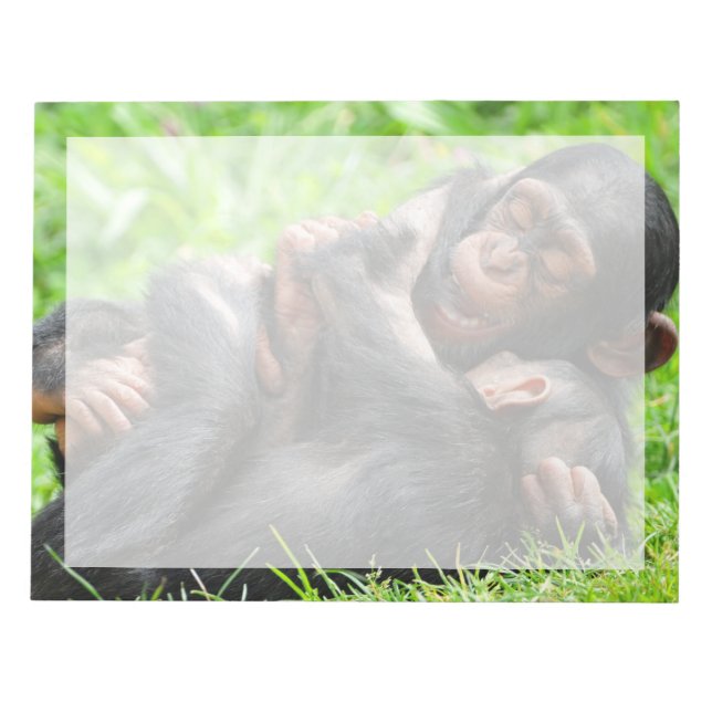 Cutest Baby djur | Två Young Chimpanzees Anteckningsblock (Framsida)