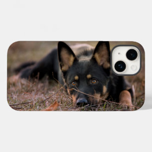 Cutest Baby djur   Tysk shepherd Puppy