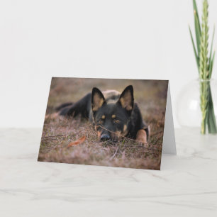 Cutest Baby djur Tysk shepherd Puppy Kort
