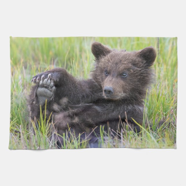 Cutest Baby djur | Uppspelning av kute Brown Unge Kökshandduk (Horisontell)