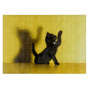 Cutest Baby djur   Uppspelning av svart katt