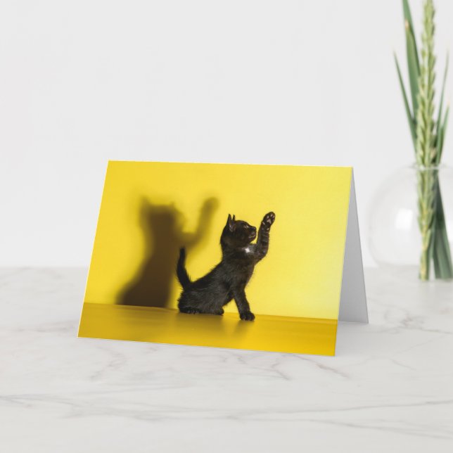 Cutest Baby djur | Uppspelning av svart katt Kort (Framsida)