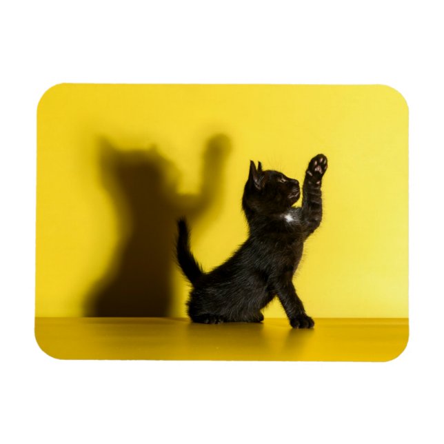 Cutest Baby djur | Uppspelning av svart katt Magnet (Horisontell)