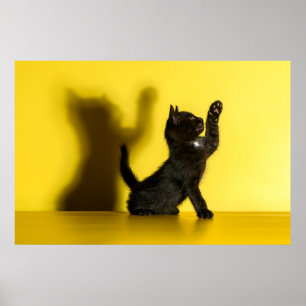Cutest Baby djur Uppspelning av svart katt Poster