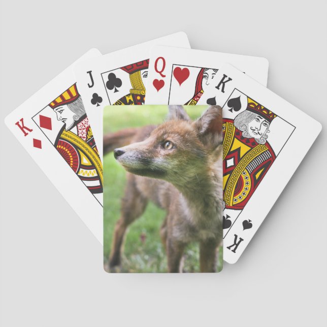 Cutest Baby djur | Urban Fox Casinokort (Baksidan)