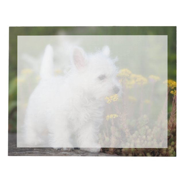 Cutest Baby djur | Väster Highland White Terrier Anteckningsblock (Framsida)