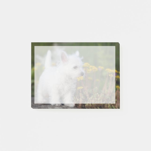 Cutest Baby djur | Väster Highland White Terrier Post-it Block (Framsida)