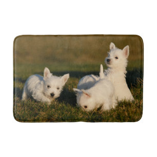 Cutest Baby djur   Väster Highland White Terriers Badrumsmatta