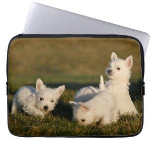 Cutest Baby djur Väster Highland White Terriers Laptop Fodral