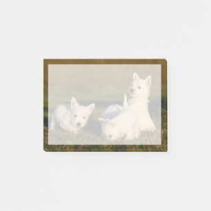Cutest Baby djur Väster Highland White Terriers Post-it Block