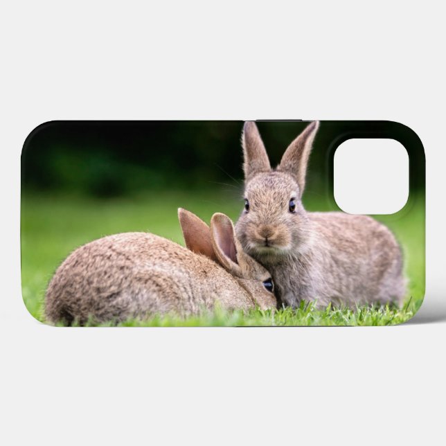 Cutest Baby djur | Vild Bunny Rabbits (Baksida (horisontell))