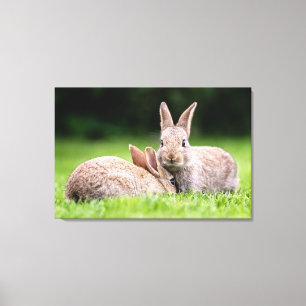 Cutest Baby djur Vild Bunny Rabbits Canvastryck