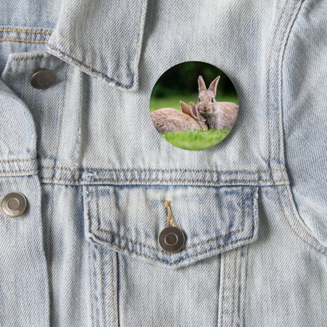 Cutest Baby djur | Vild Bunny Rabbits Knapp (In Situ)