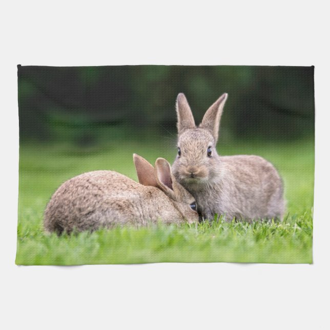 Cutest Baby djur | Vild Bunny Rabbits Kökshandduk (Horisontell)