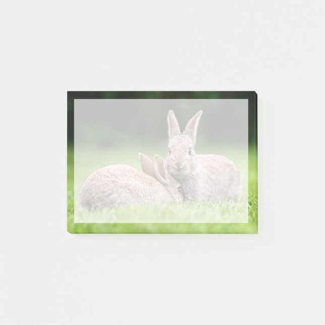 Cutest Baby djur | Vild Bunny Rabbits Post-it Block (Framsida)
