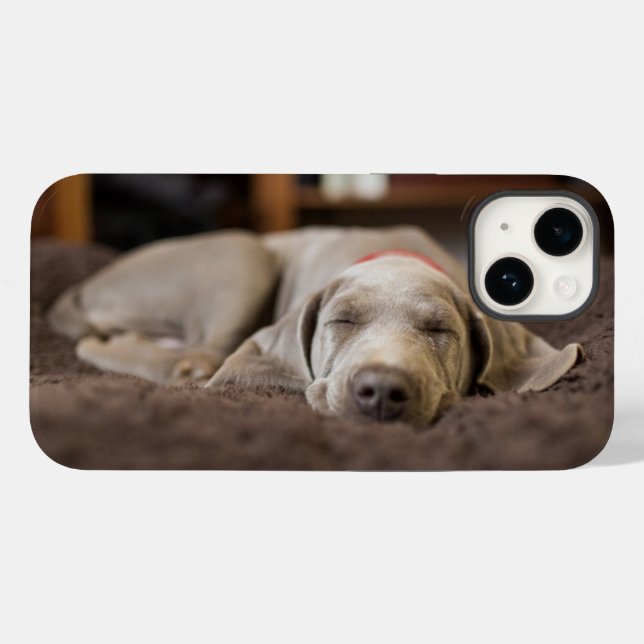 Cutest Baby djur | Weimaraner Puppy Sleeping (Baksida (horisontell))