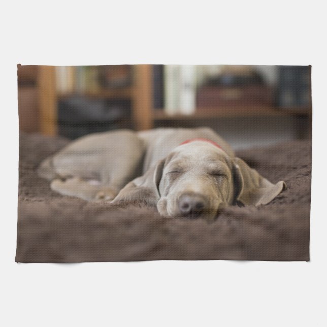 Cutest Baby djur | Weimaraner Puppy Sleeping Kökshandduk (Horisontell)