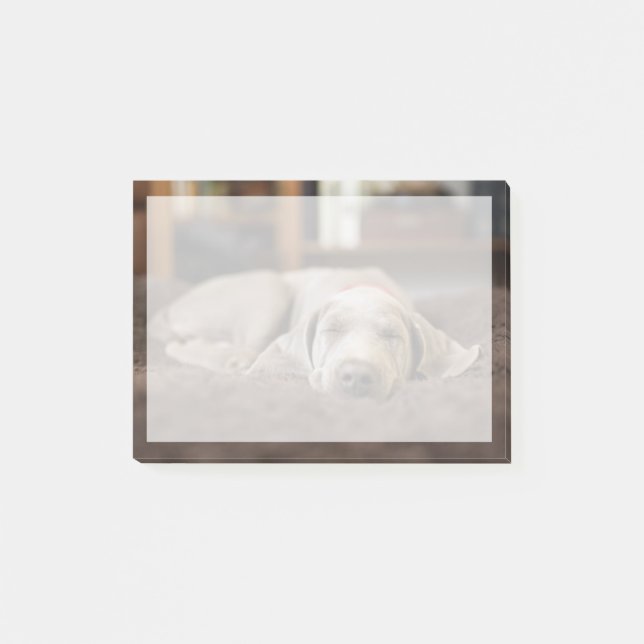 Cutest Baby djur | Weimaraner Puppy Sleeping Post-it Block (Framsida)