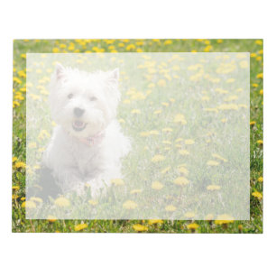 Cutest Baby djur Westie Hund i Dandelions Anteckningsblock
