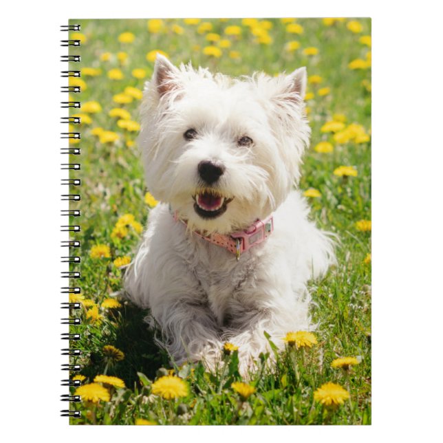 Cutest Baby djur | Westie Hund i Dandelions Anteckningsbok (Framsidan)