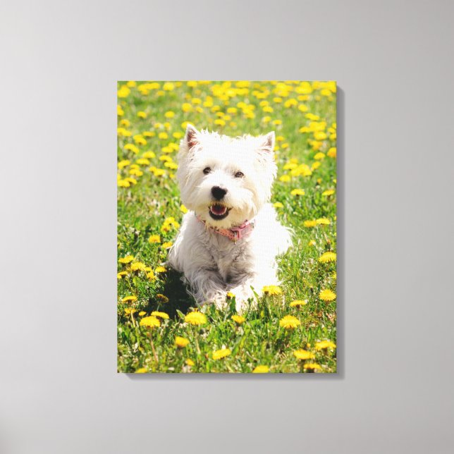 Cutest Baby djur | Westie Hund i Dandelions Canvastryck (Framsida)