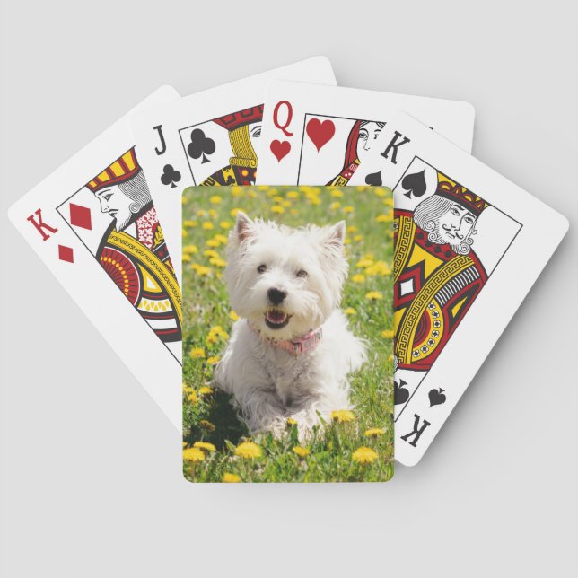 Cutest Baby djur | Westie Hund i Dandelions Casinokort (Baksidan)