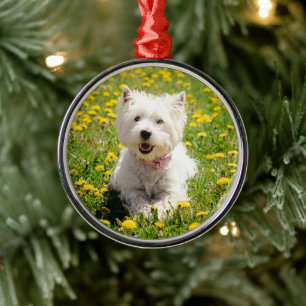 Cutest Baby djur   Westie Hund i Dandelions Julgransprydnad Metall