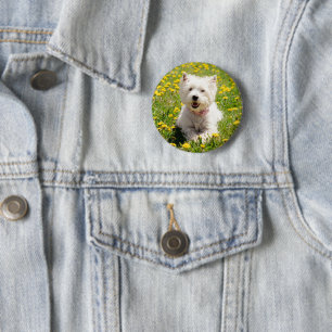 Cutest Baby djur Westie Hund i Dandelions Knapp