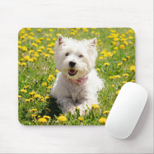 Cutest Baby djur Westie Hund i Dandelions Musmatta