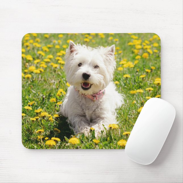 Cutest Baby djur | Westie Hund i Dandelions Musmatta (Med mus)