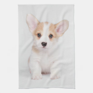 Cutest Baby djur White Corgi Puppy Kökshandduk