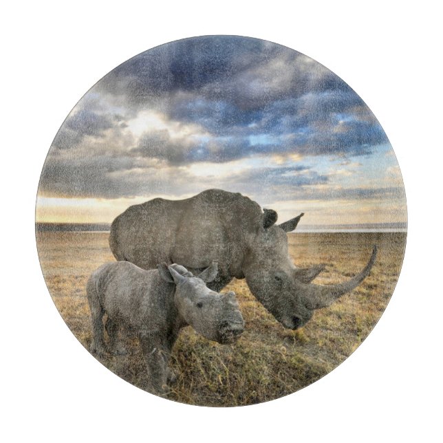 Cutest Baby djur | White Rhino & Calf (Framsidan)