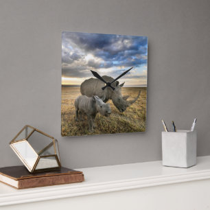 Cutest Baby djur White Rhino & Calf Fyrkantig Klocka