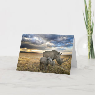 Cutest Baby djur   White Rhino & Calf Kort