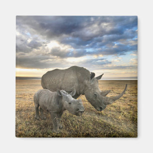 Cutest Baby djur White Rhino & Calf Magnet